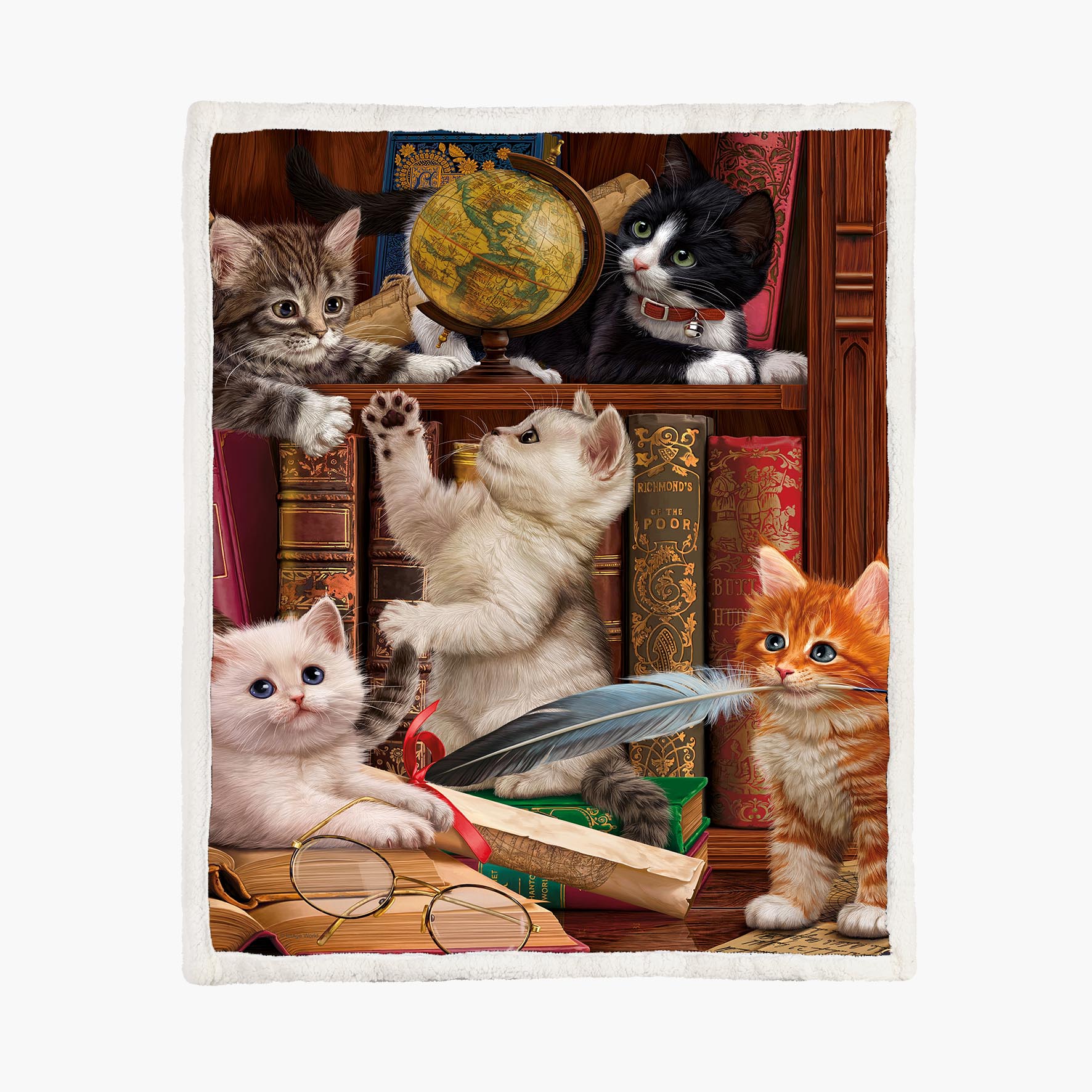 Kittens In The Library - Size L - 150x200cm - Fleece Blanket