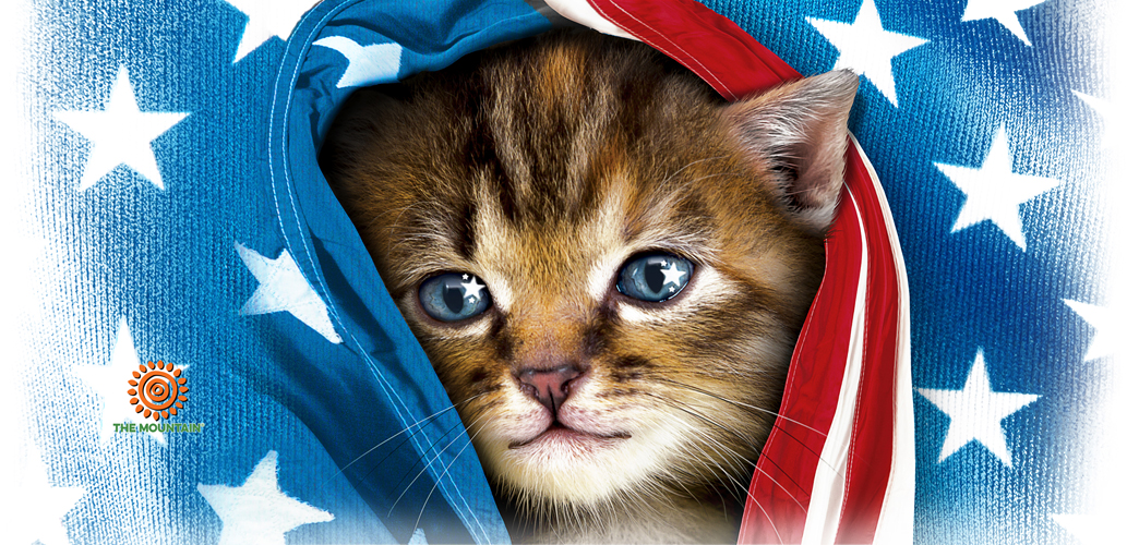 Taza Patriotic Kitten