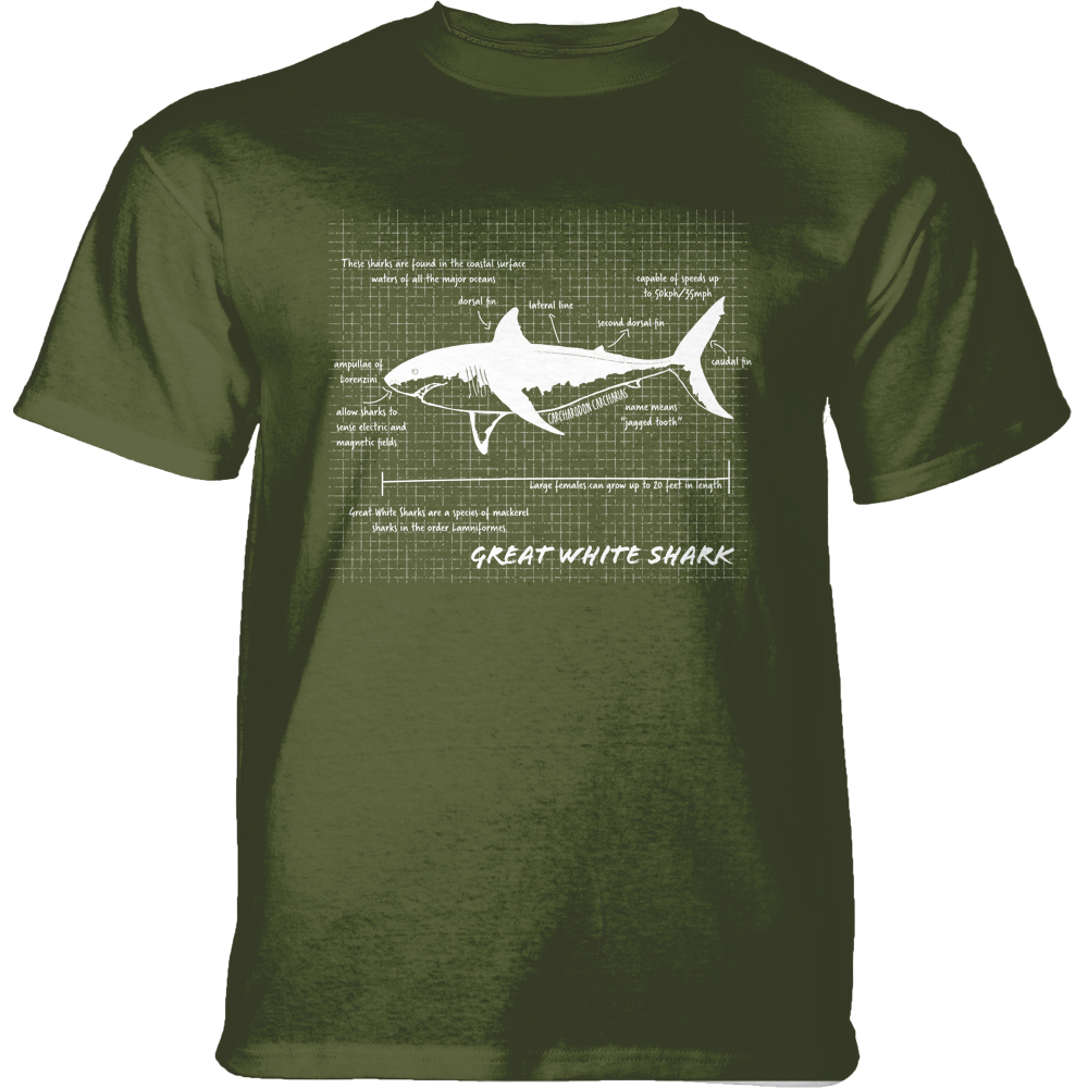 Great White Shark Facts Green