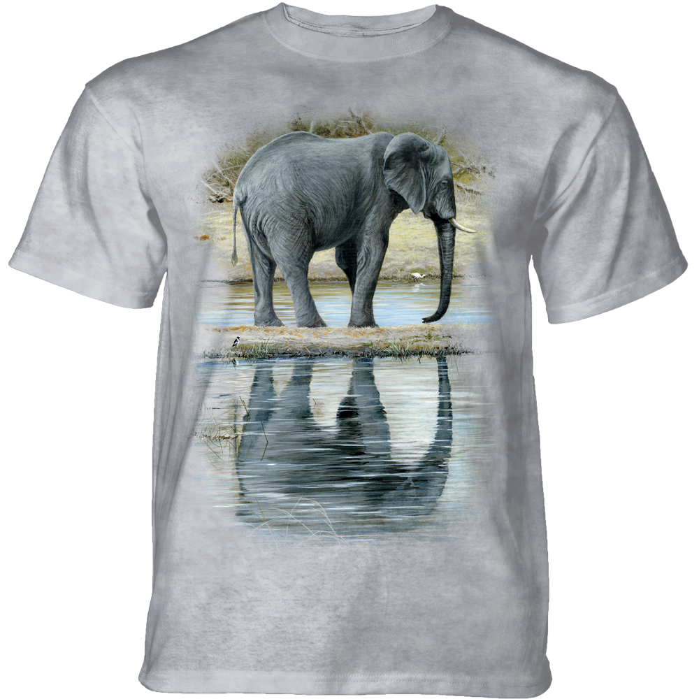 Reflections of Elephant