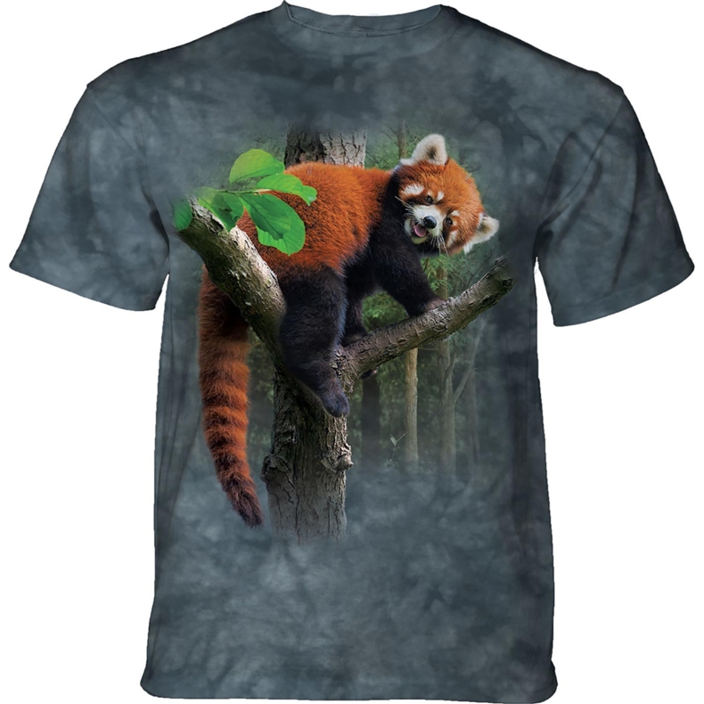 Red Panda Tree KIDS