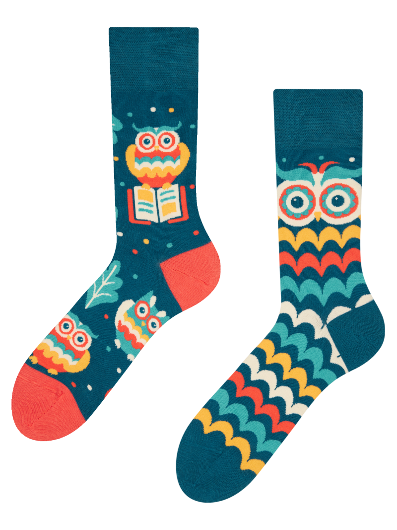 Regular Socks Wise Owl