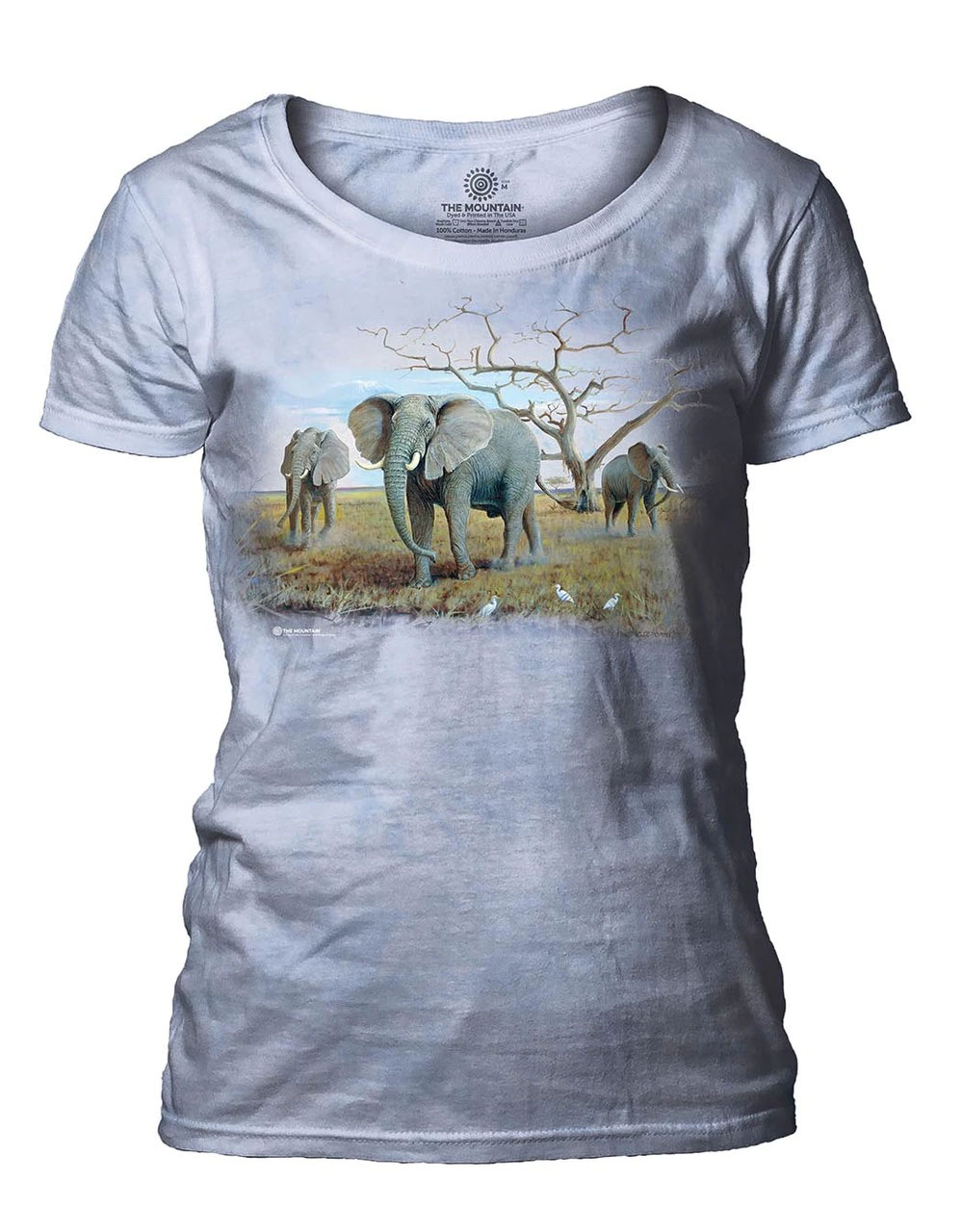 Three African Elephants Women's Scoop T-shirt