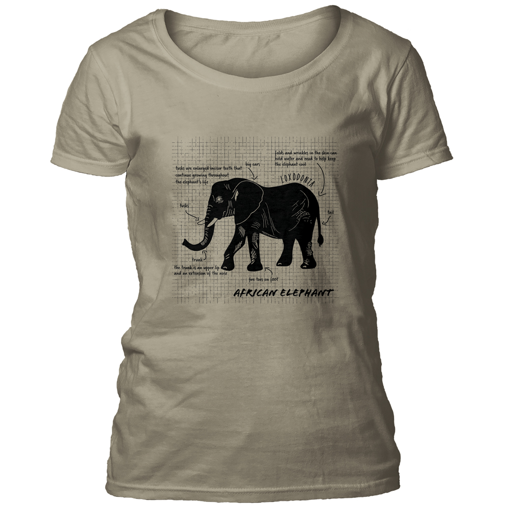 African Elephant Facts Beige Scoop T-shirt