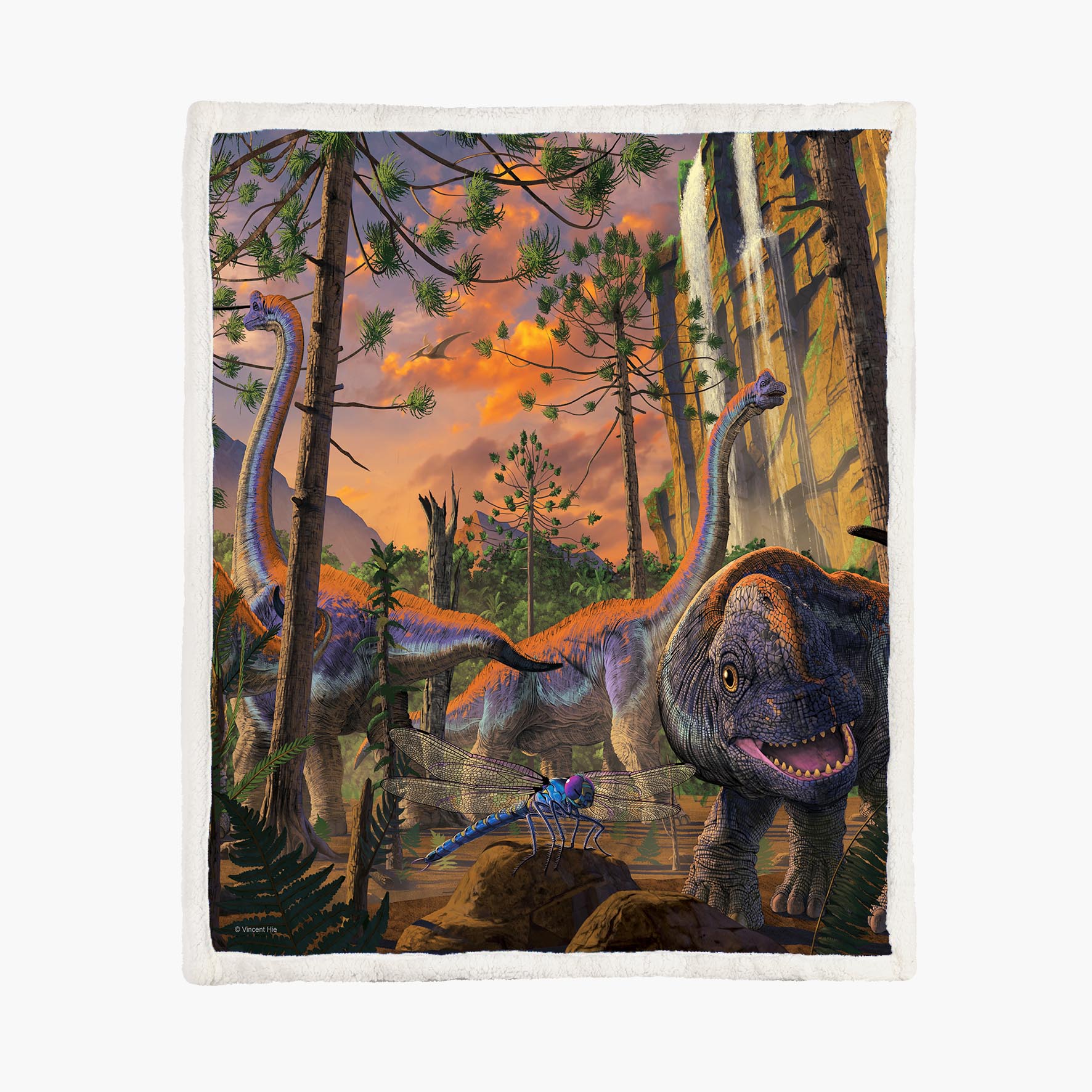 Curious Dino - Size M - 130x150cm - Fleece Blanket