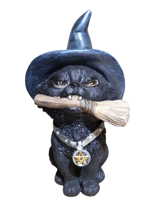 Black Cat Wizard With Broomstick - 11*11*17cm