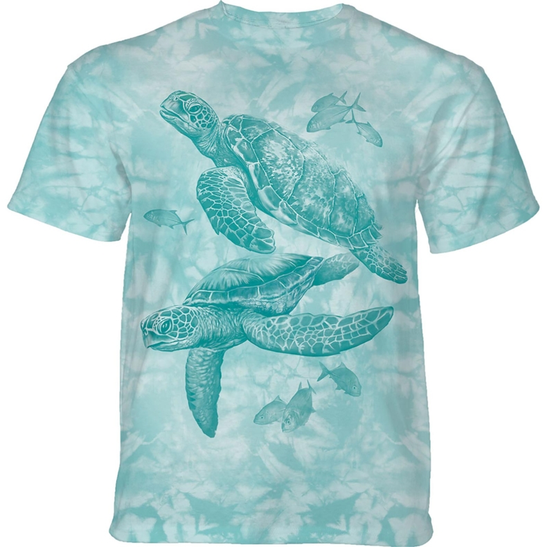 Monotone Sea Turtles