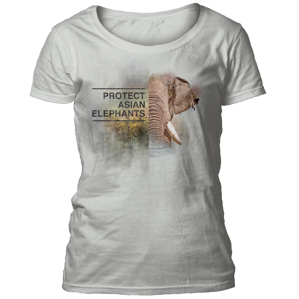 Protect Asian Elephant Grey Women's Scoop T-shirt