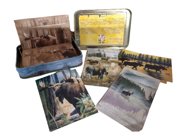 Moose Sighting - Photo Frame With Cards