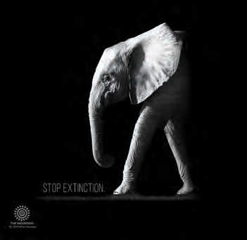 Stop Extinction Elephant Tumbler