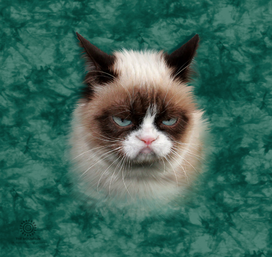 Grumpy Cat Tumbler