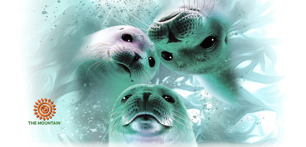 Becher Sea Lion Trio