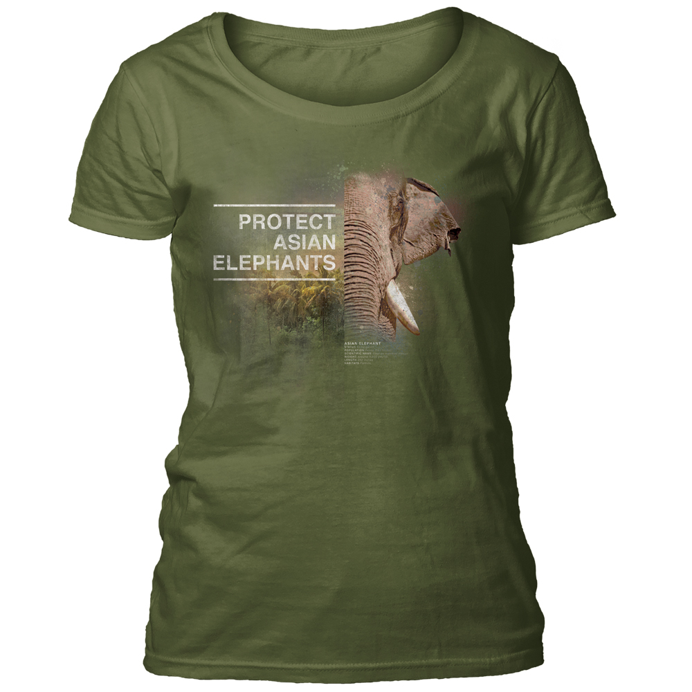 Protect Asian Elephant Green Women's Scoop T-shirt