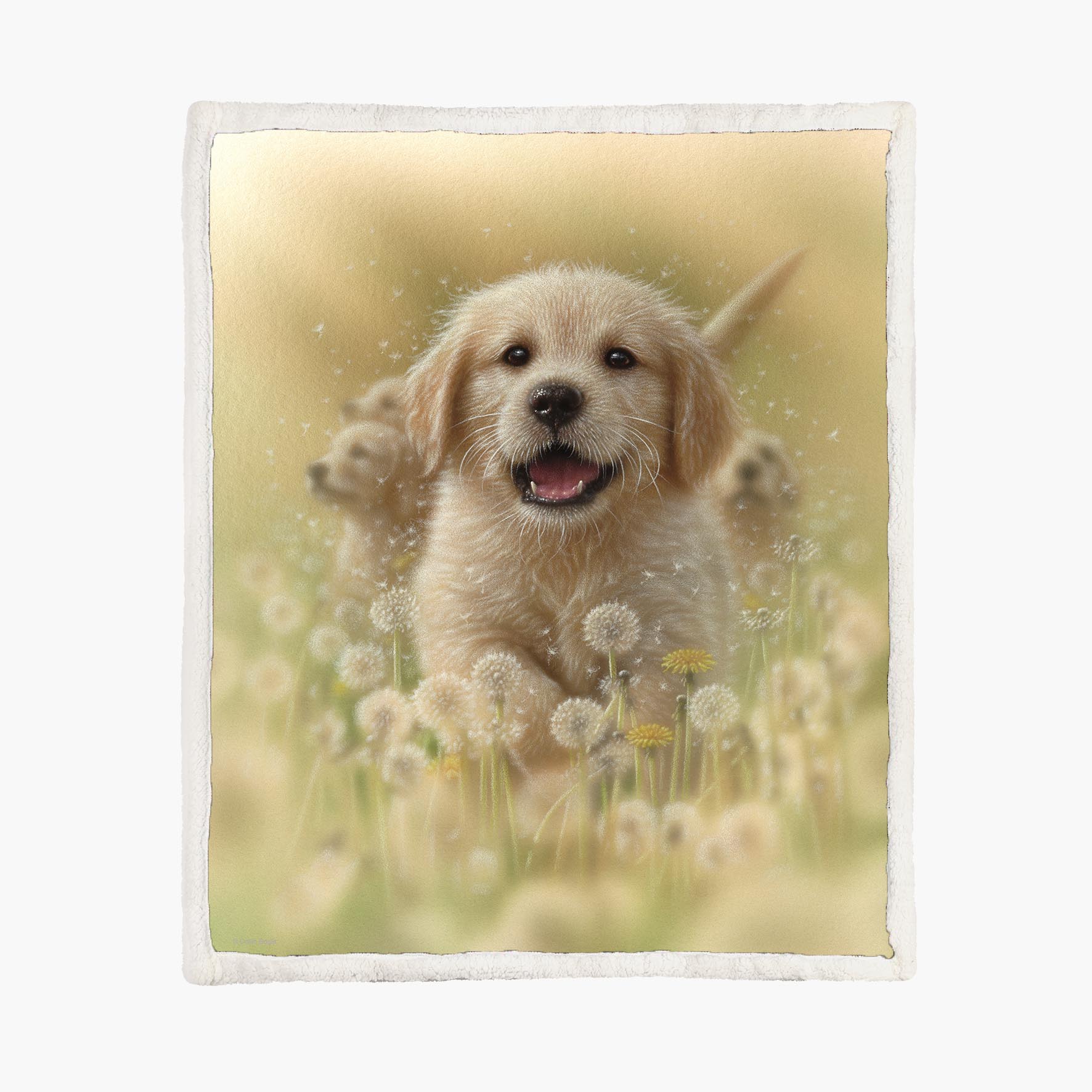 Golden Pup - Dandelions - Size L - 150x200cm - Fleece Blanket