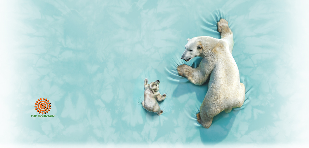 Becher Polar Bear Climb
