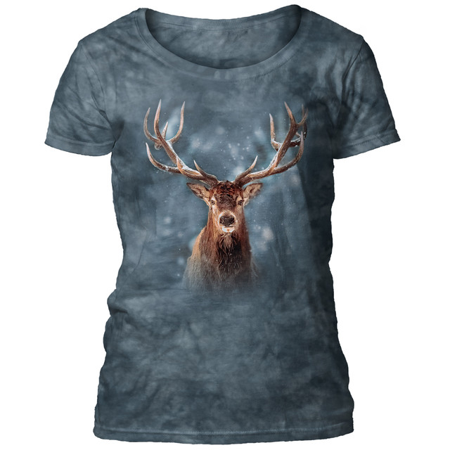 Snowy Buck Portrait - Deer Women's Scoop T-shirt