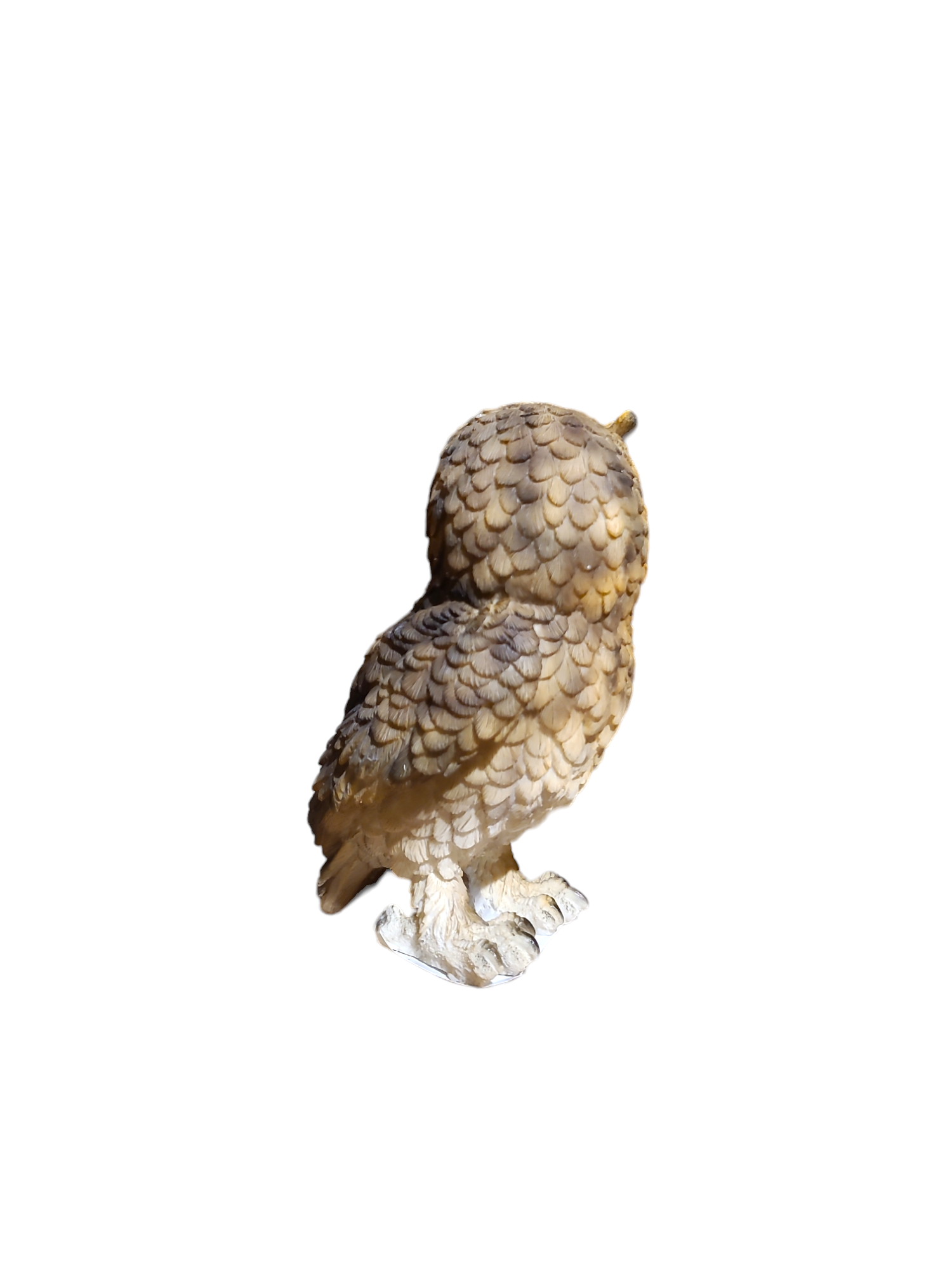 Long Eared Owl Standing - 10*8*13cm