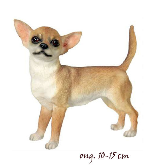 Chihuahua LP1354