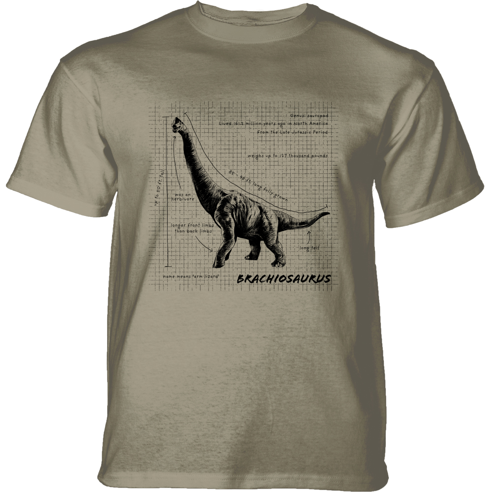 Brachiosaurus Fact Sheet Beige