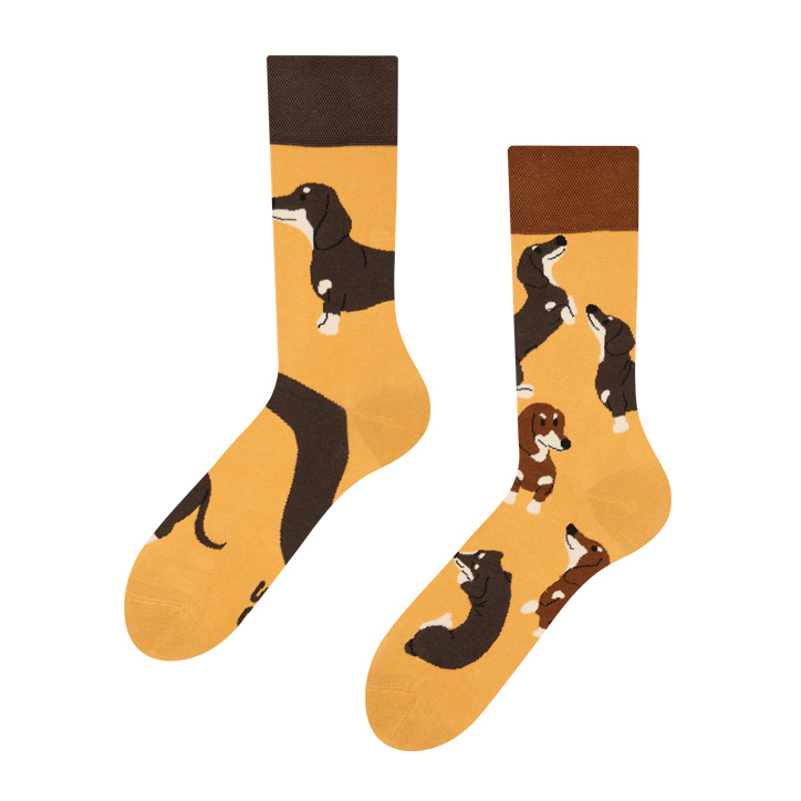 Regular Socks Dachshunds