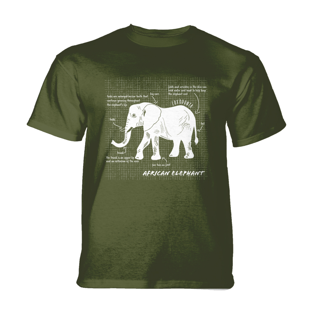 African Elephants Facts Green KIDS