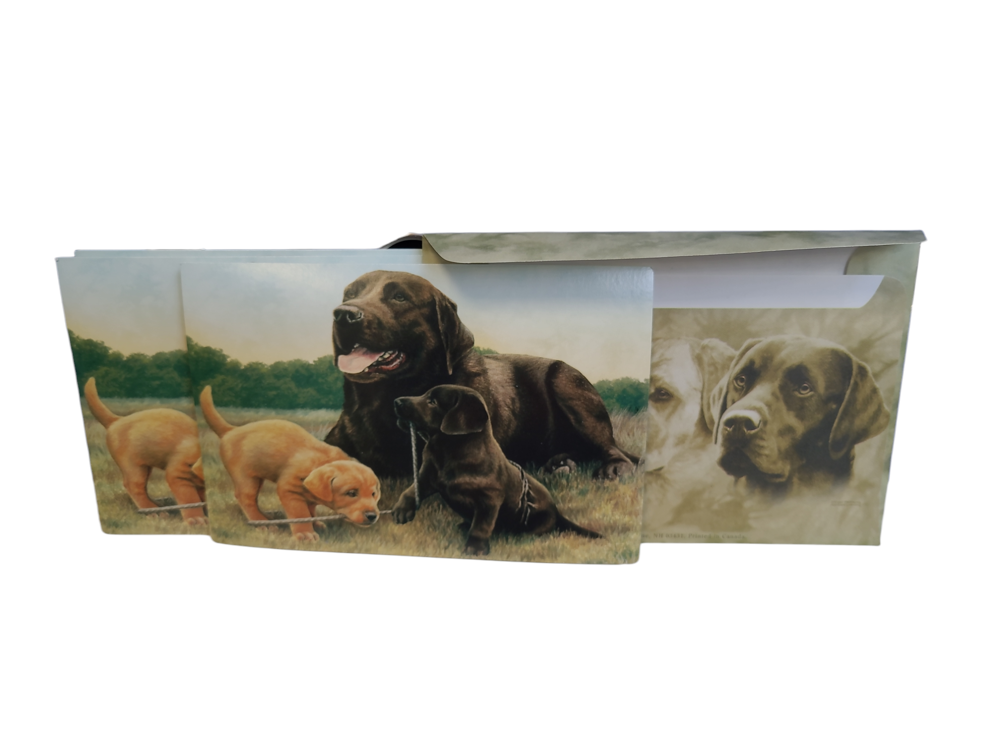 Labrador - Dog - Photo Frame With Cards