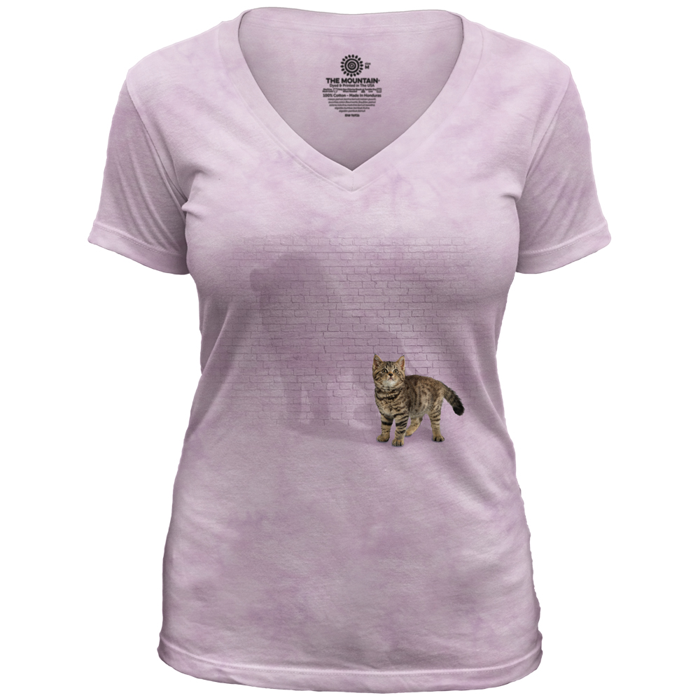 Shadow Of Power Pink V-Neck Tri-Blend