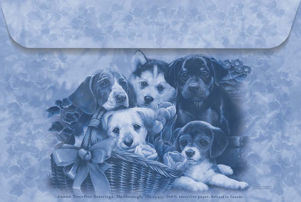 Dalmations - Dog - Photo Frame With Cards