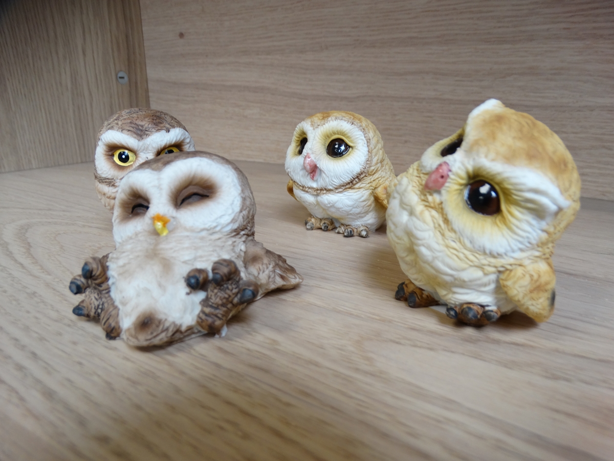 4 Small Owls