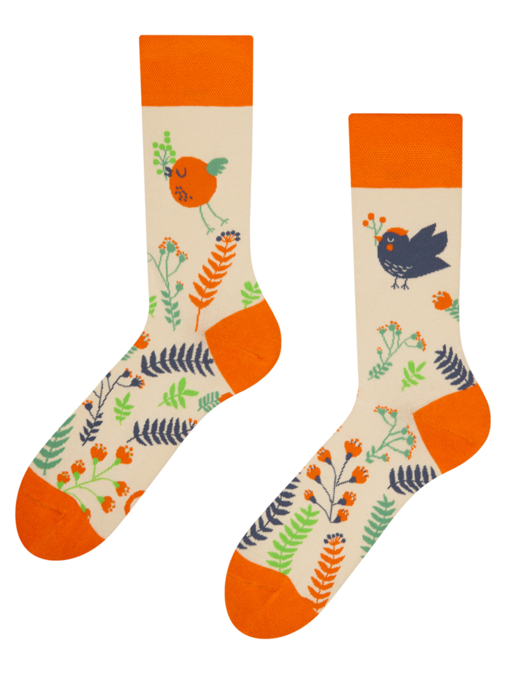 Regular Socks Cute Birds