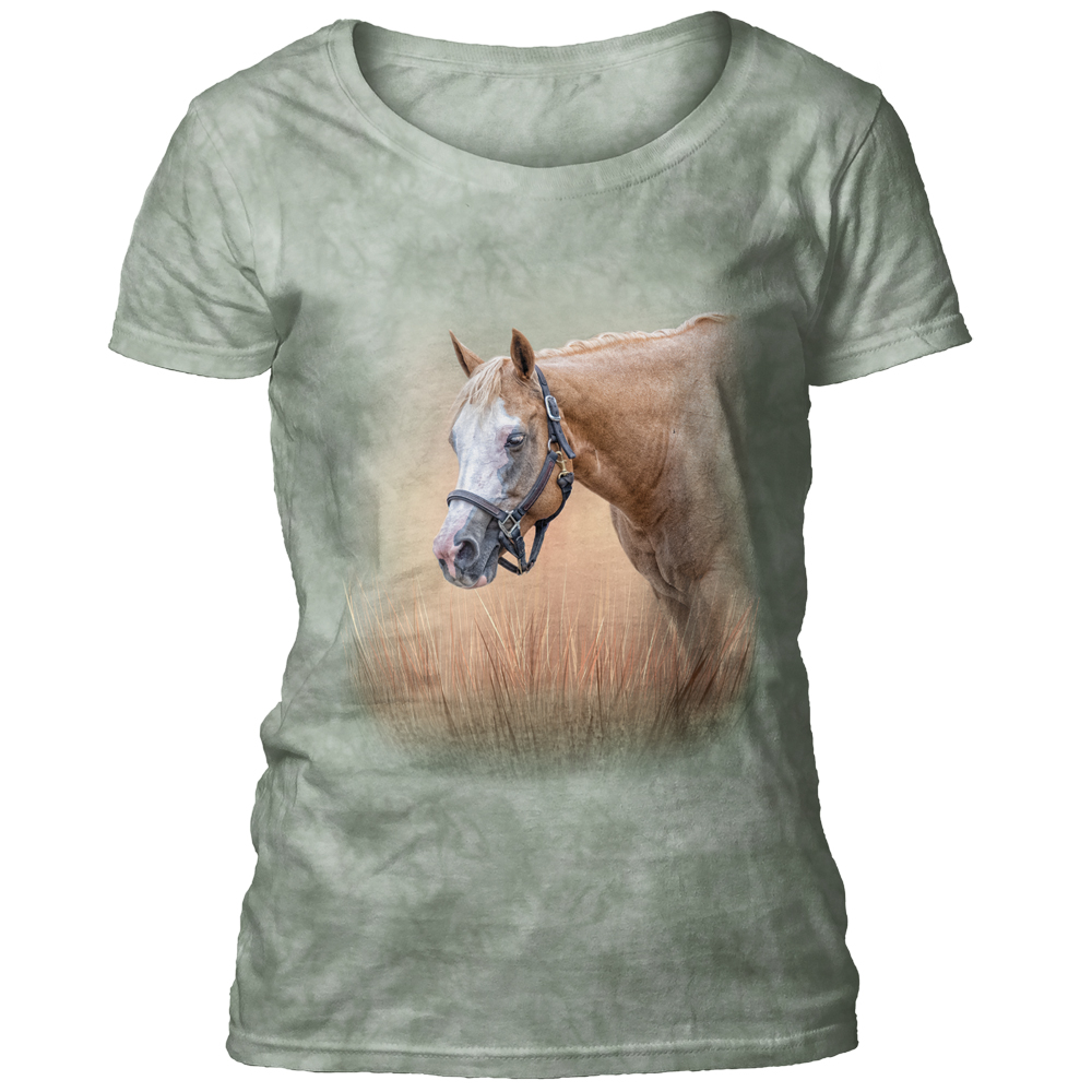 Gentle Spirit Horse Women's Scoop T-shirt
