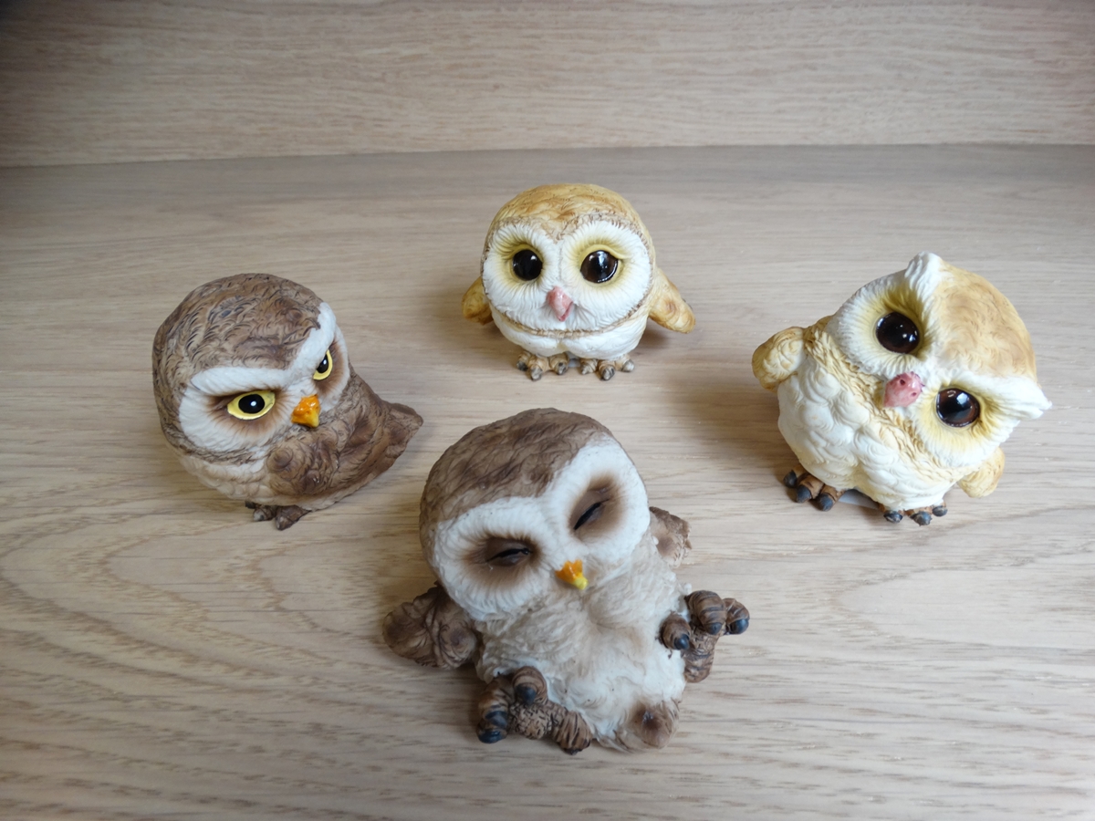 4 Small Owls