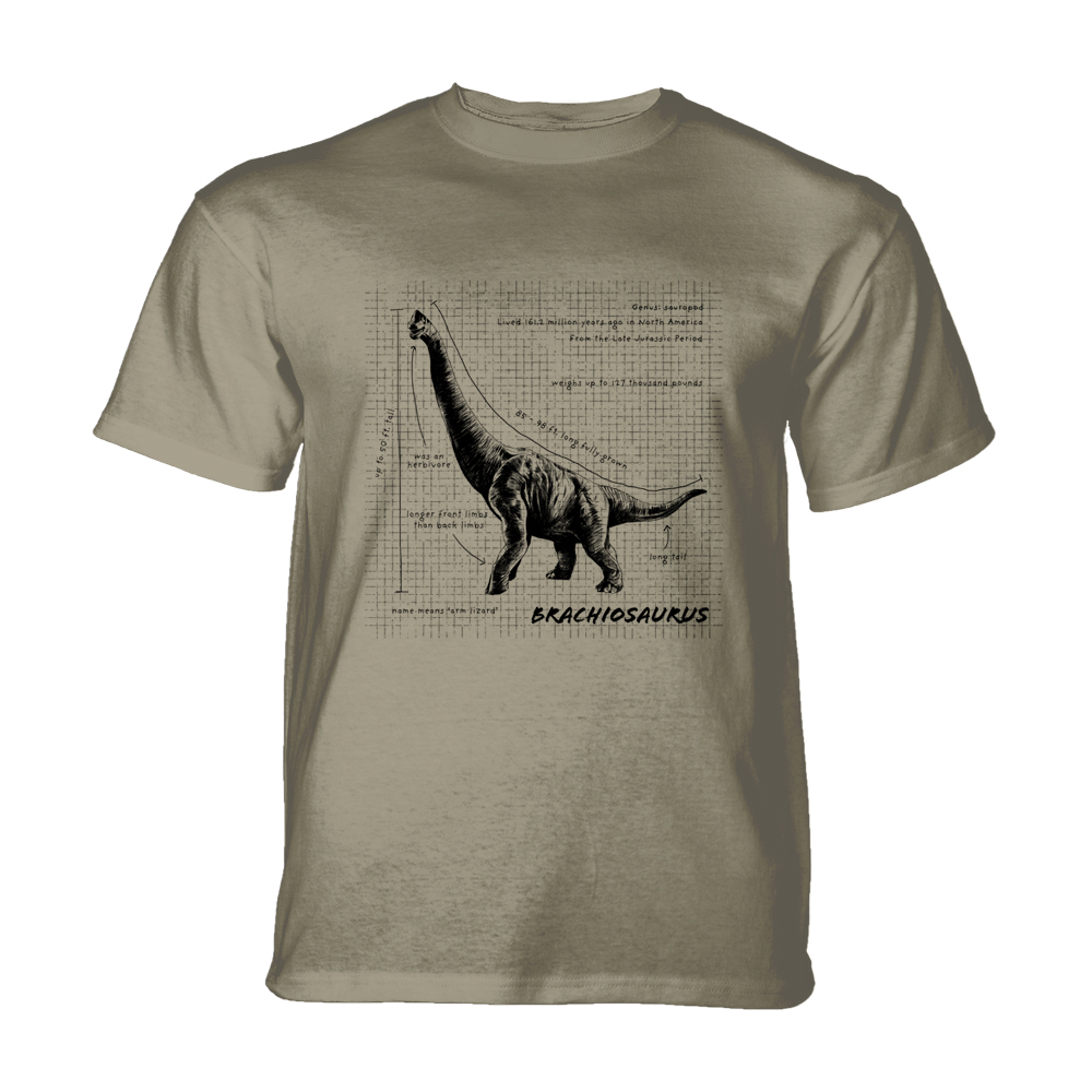 Brachiosaurus Fact Sheet Beige KIDS