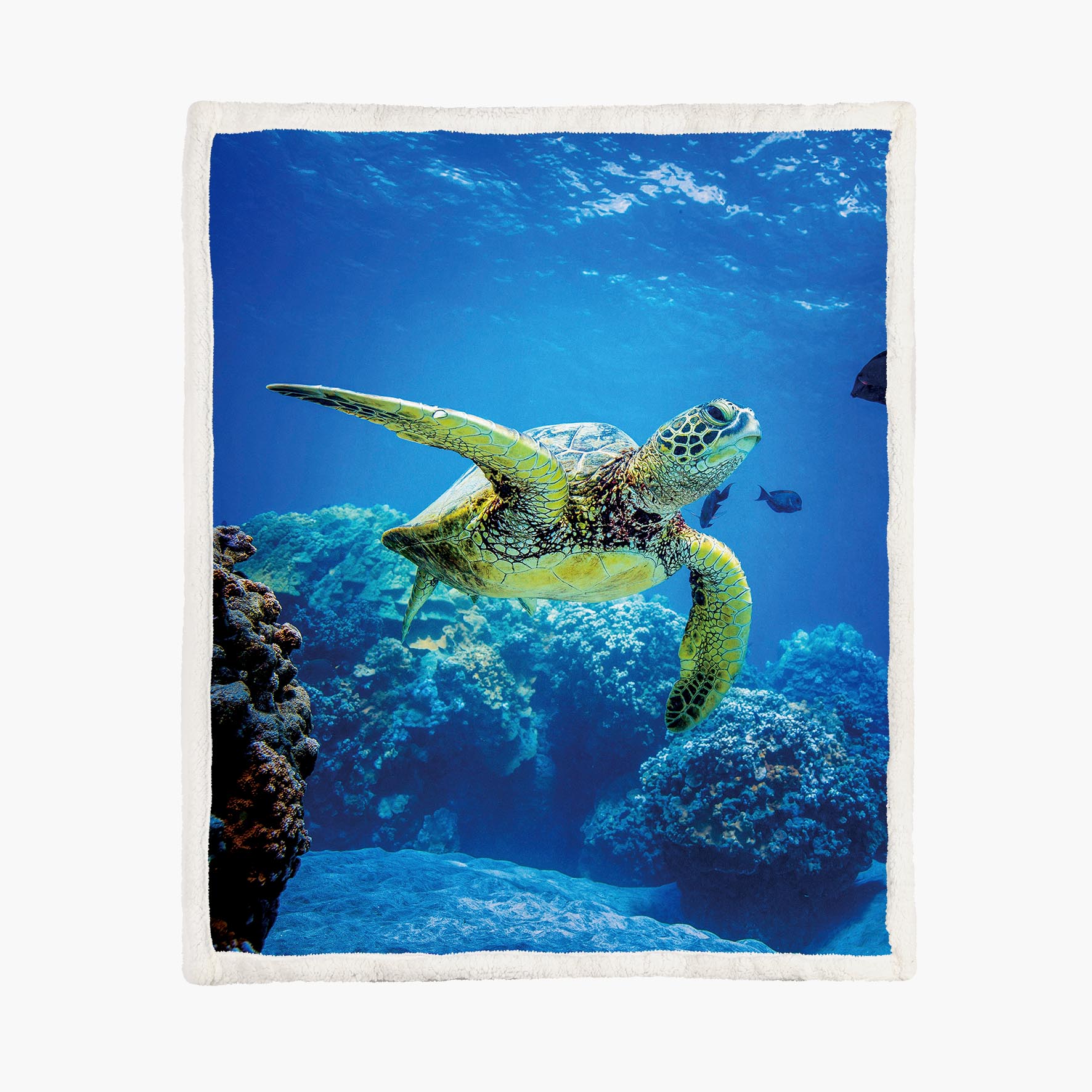 Sea Turtle - Size S - 75x100cm - Fleece Blanket