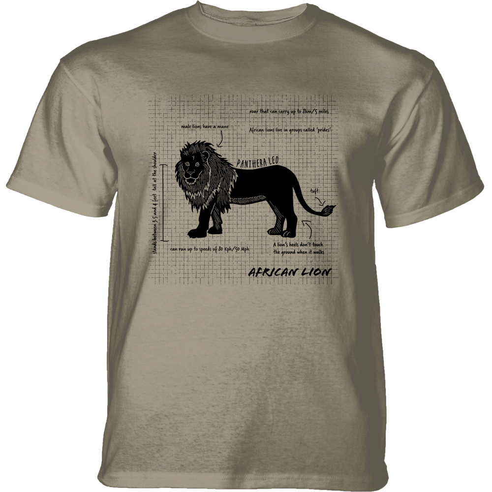 African Lion Facts Beige