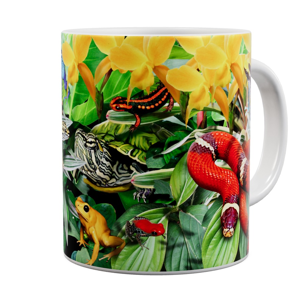 Mug Dart Frogs & Reptiles