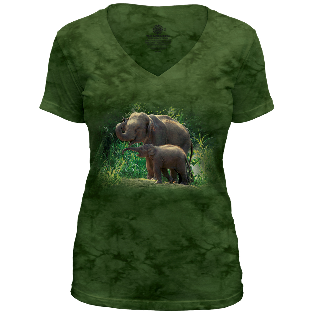 Asian Elephant Bond V-Neck Tri-Blend