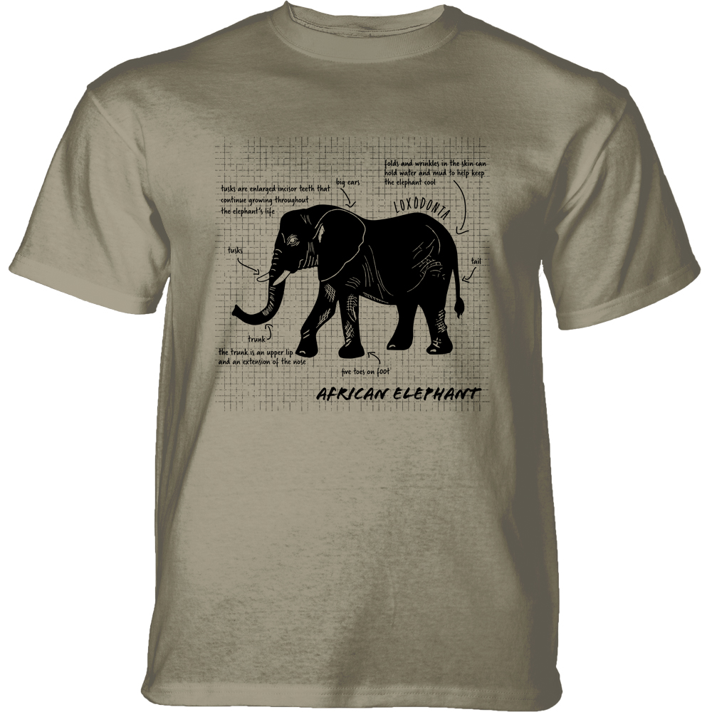 African Elephant Facts Beige