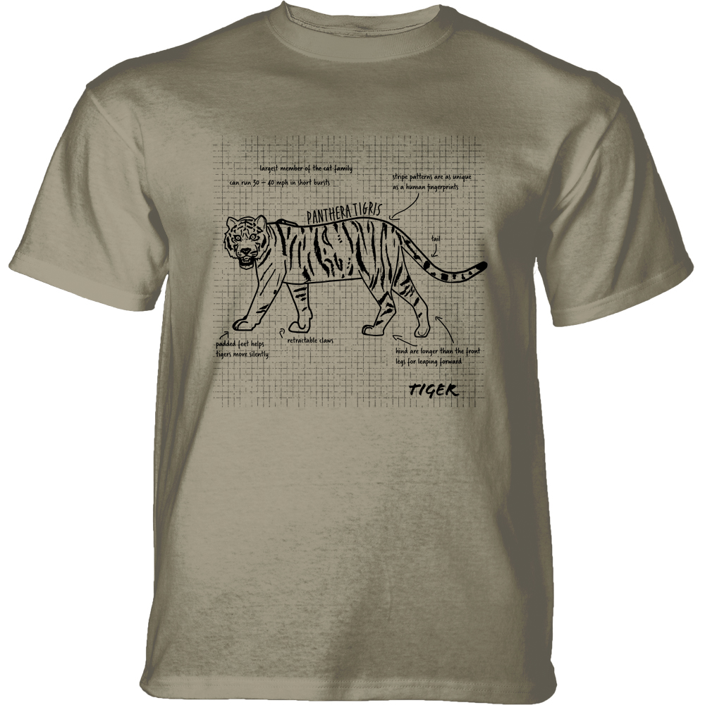 Panthera Tigris Facts Beige