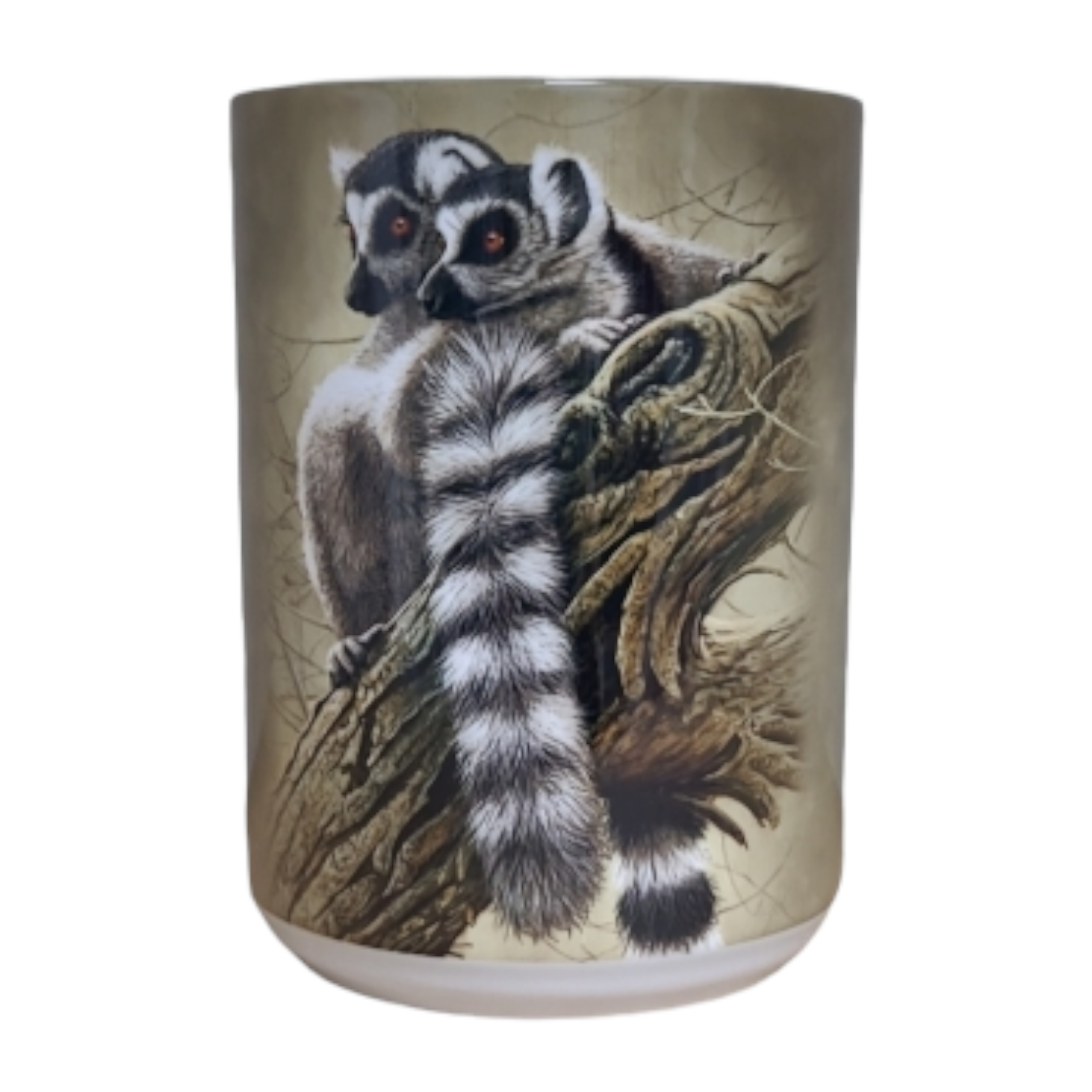 Becher Heads And Tails - Lemur