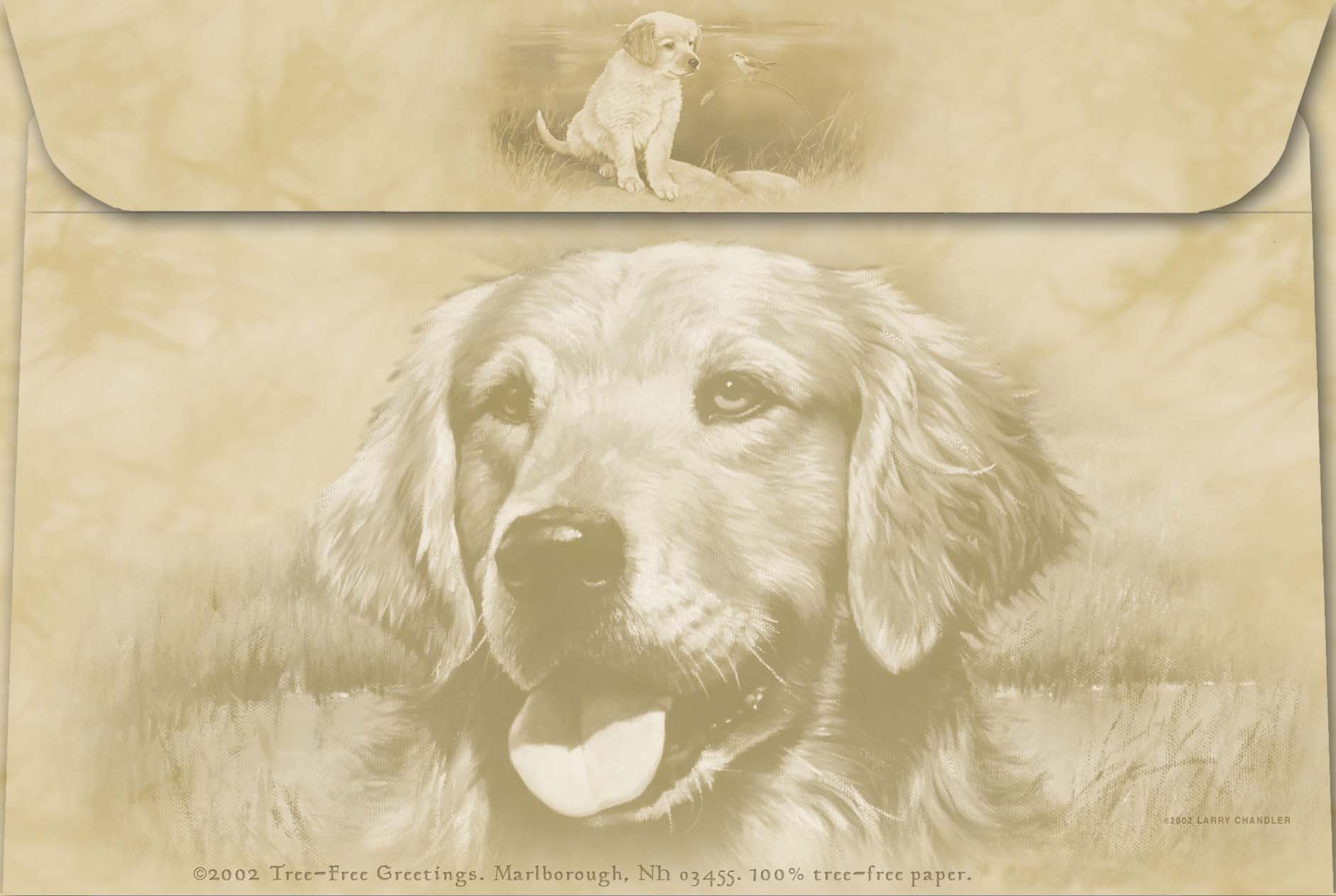 Golden Retriever Pup - Dog - Photo Frame With Cards
