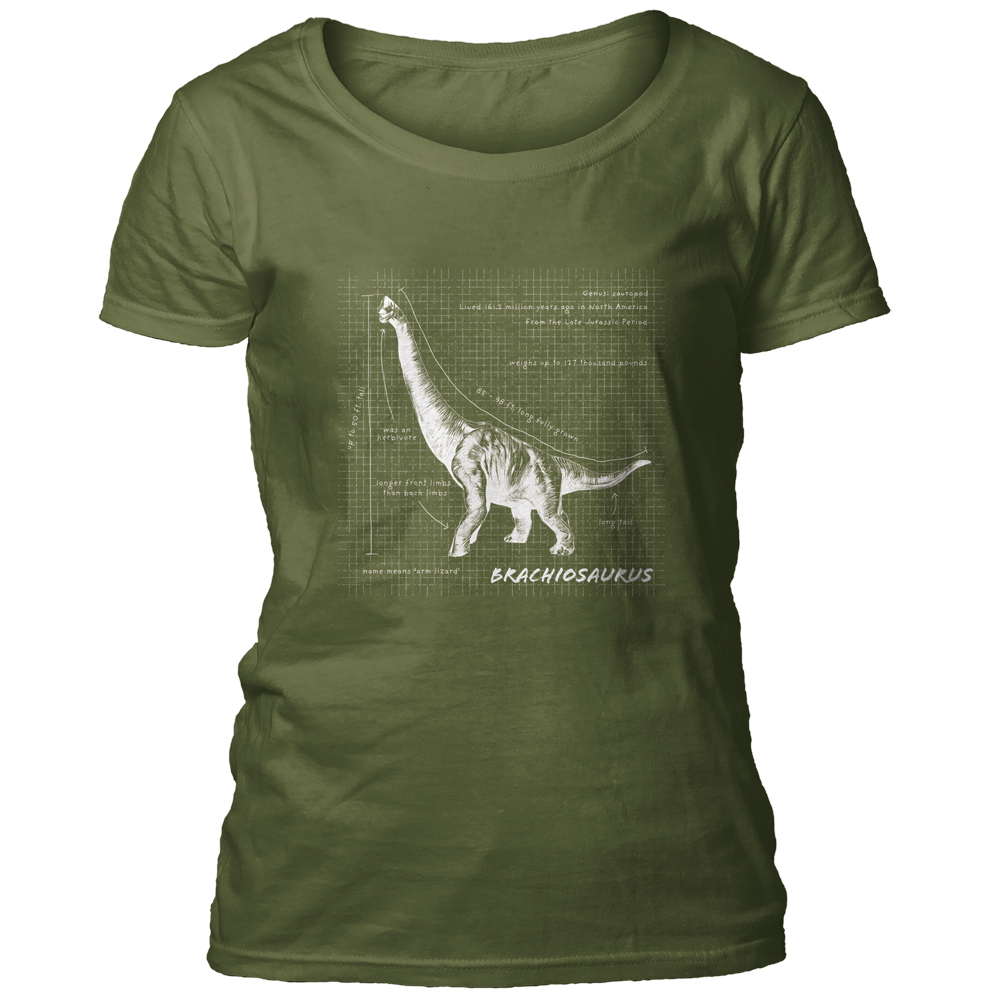 Brachiosaurus Fact Sheet Green Women's Scoop T-shirt