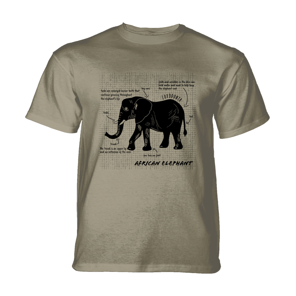 African Elephants Facts Beige KIDS