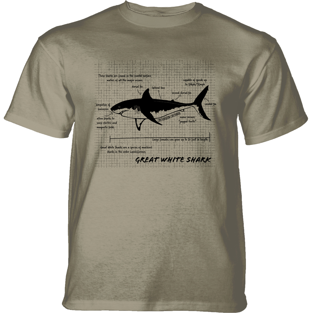 Great White Shark Facts Beige