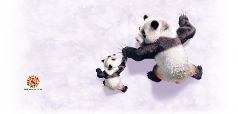 Becher Panda Climb