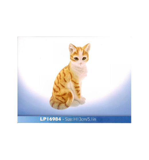 Ginger Cat sitting LP16984